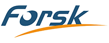 Forsk Logo